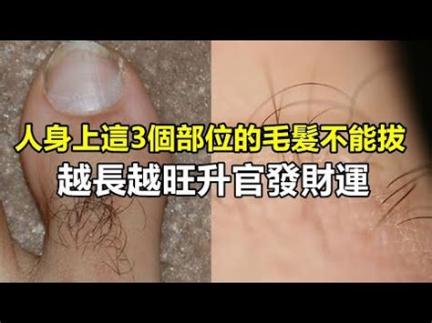 左手 長白毛|【手上長白毛】揭秘手上長白毛的真相：吉兆還是凶兆？